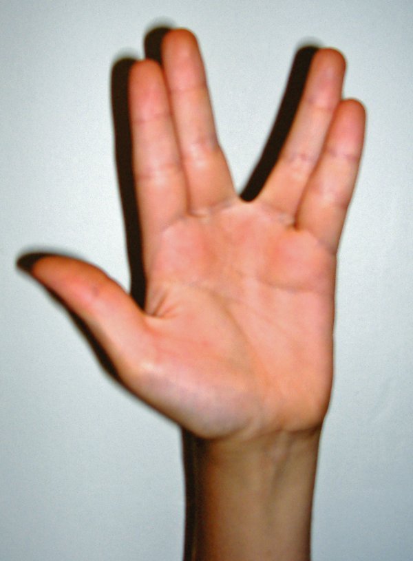 Wicki_Hand001_edited_1