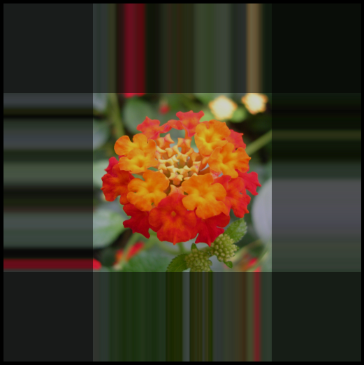 A texture with wrap-s and wrap-t set to clamp