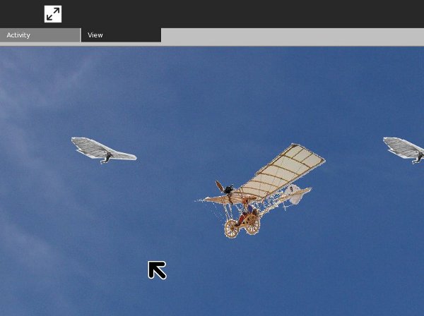 The Demoiselle Activity.