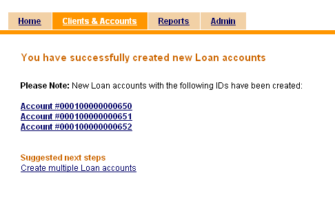 multicreateloan2.png