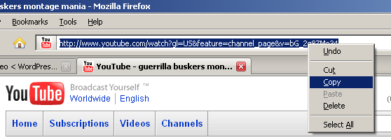 wordpress_embed_video_4